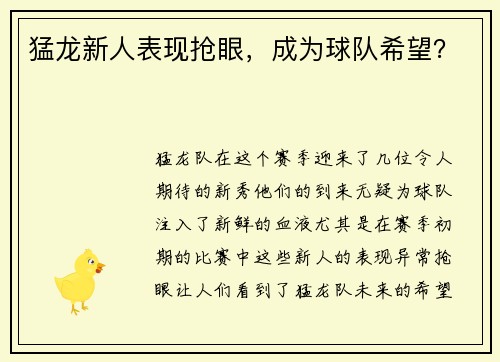 猛龙新人表现抢眼，成为球队希望？