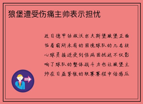 狼堡遭受伤痛主帅表示担忧